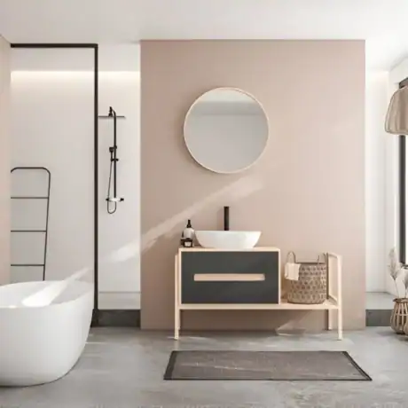 3D bathroom Calabasas CA